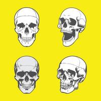 Set of skull scalable design vector