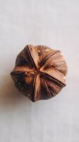 A single nut on a white surface photo