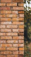 A brick wall with a green background photo