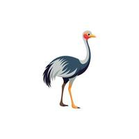 A dynamic ostrich capturing speed and agility. vector