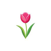 A gentle and dreamy pink tulip with a serene touch. vector