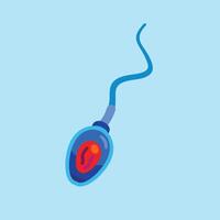 Sperm Structure and Function. illustration of sperm fertilization vector