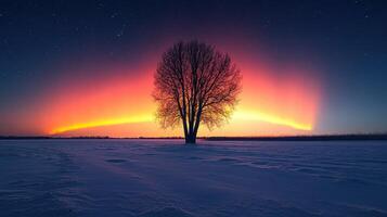 Lone tree in snowy field, aurora borealis at dawn, winter landscape, nature poster photo