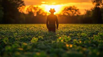 Farmer sunset field agriculture harvest rural photo