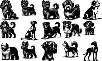 A set of black Black Dog Breeds Silhouettes Set Design vector