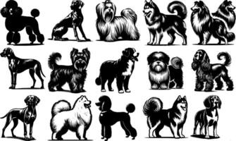 A set of black Black Silhouette Art of Different Dog Breeds vector