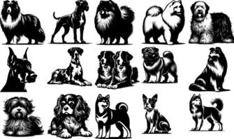 A set of black Collection of Black Dog Breed Outlines vector