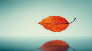 Floating autumn leaf reflecting on calm water, serene nature backdrop, ideal for fall designs photo