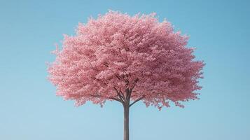 Pink tree, clear sky, spring bloom, nature, design photo