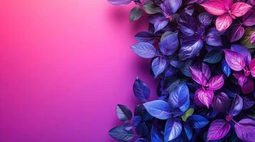 Purple leaves on pink background, space for text, design element photo
