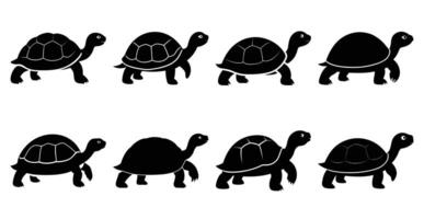 Tortoise Silhouette Bundle for Reptile and Wildlife Designs vector