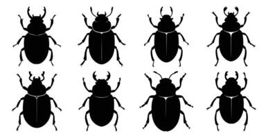 Beetle Silhouette Bundle for Wildlife and Insect Design vector