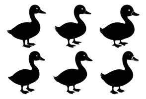 Duckling Silhouette Bundle for Wildlife and Bird Design vector