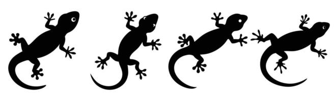Gecko Silhouette Bundle for Reptile and Wildlife Designs vector