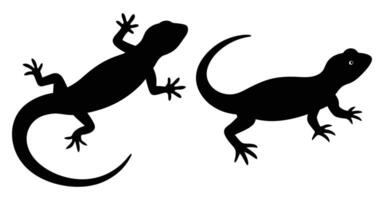 Lizard Silhouette Bundle for Reptile and Wildlife Designs vector