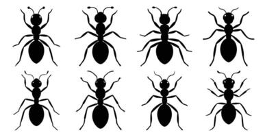 Ant Silhouette Bundle for Wildlife and Insect Design vector