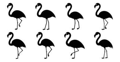 Flamingo Silhouette Bundle for Wildlife and Bird Design vector