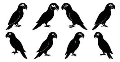 Parrot Silhouette Bundle for Bird and Wildlife Designs vector