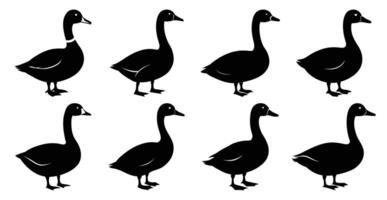 Duck Silhouette Bundle for Wildlife and Bird Design vector