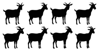 Goat Silhouette Bundle for Farm and Wildlife Designs vector