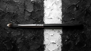 Makeup brush on black and white paint photo