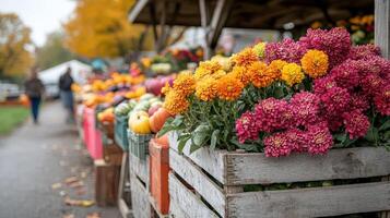 Autumn farm market, colorful mums, pumpkins, fall shoppers photo