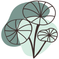 Three round leaves, each with a delicate line drawing pattern. The leaves are rendered in different sizes. The lines are dark and crisp against a soft, neutral background. png