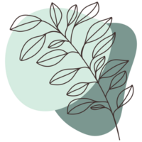 This image features a delicate line drawing of a leafy branch against a two-tone background. png