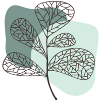 The branches have many slender leaves. Each leaf has a complex and beautiful line pattern. The background features two blue-green watercolor stains. Which have different shapes and sizes. png