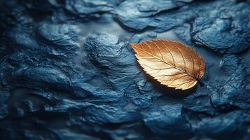 Golden leaf on dark wet rock, nature background, autumn photo