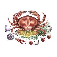Crab with lemon, herbs and vegetables. watercolor illustration. A color image of a seafood dish. Separate from the background. Suitable for menus, recipe books, packages, labels. vector