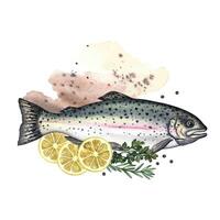 Trout with lemon and herbs. A watercolor illustration. A color image of a fish dish. On the background of a watercolor spot. Perfect for menus, recipe books, packages, labels. vector