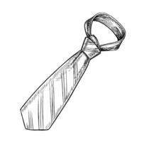 A bow tie. A hand-drawn graphic illustration. Black and white image of a men s accessory. Separate from the background. Perfect for posters, postcards and banners, flyers, packages and labels vector