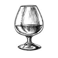 A glass of cognac. A hand-drawn graphic illustration. Black and white image of an alcoholic beverage. Separate from the background. Perfect for menus, banners, flyer, package, label, invitation vector