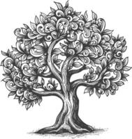 Hand Drawn Illustration Of A Stylized Tree With Intricate Foliage And A Thick Trunk vector