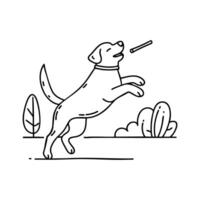 Labrador jumping excitedly to catch a stick in mid-air in the park vector