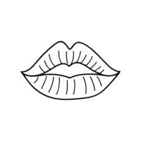 Pair of lips slightly parted, drawn with subtle texture and details vector