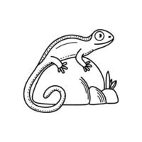 Lizard basking on a rock, its tail curling slightly vector