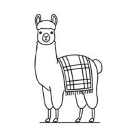Fluffy llama standing with a blanket draped over its back vector