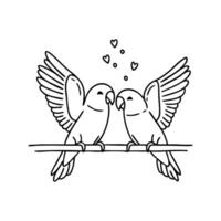 A lovebird spreading its wings while playfully interacting vector