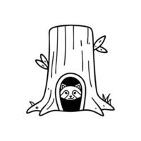 Hidden Raccoon lair inside a tree trunk, with peeking eyes from the darkness vector