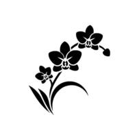 Silhouetted Black Orchid Spray on White Background Elegant and Minimalist Botanical Illustration in a Style. vector