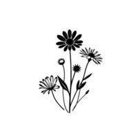 Elegant monochrome floral illustration of daisylike flowers with delicate petals, buds, and leaves, set against a pristine white backdrop. vector