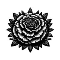 Intricate Black and White Floral Illustration A detailed layered flower bloom with pointed leaves, showcasing a detailed, symmetrical, and artistic botanical on a bright white background. vector