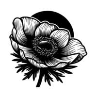 Intricate Black and White Floral Illustration of an Anemone with Linear Petals and Circular Background, Elegant . vector
