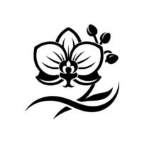 Stylized Black and White Orchid Illustration Featuring a Single Flower, Buds, and Decorative Leaves on White Background. vector