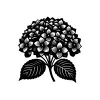 Bold, artistic black and white block print of a lush hydrangea blossom with detailed leaves against a bright, blank background. vector