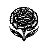 Intricate black and white illustration of a carnation blossom, showcasing its detailed petals and leaves against a clean white backdrop, evoking a sense of classic artistry. vector
