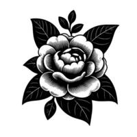 Intricate Black and White Botanical Illustration Detailed Engraving of a Lush Rose with Dark Foliage on a Pristine White Canvas. vector