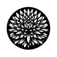 A monochrome, stylized chrysanthemum, meticulously rendered with white petals radiating outward from a central core, contained within a black circular backdrop on a white background. vector